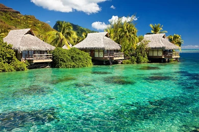 Resort Bungalow Wallpapers