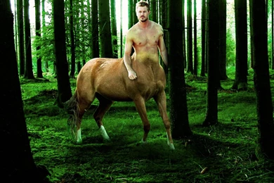 Centaur: The Forest Lord By EquineRenaissance On DeviantArt