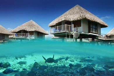 Lagoon Under Water Bungalow   (