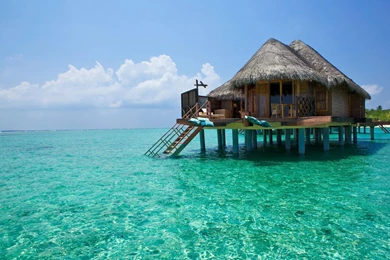 Wonderful Tropical Bungalow   (