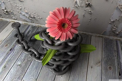 3D Flower With Chain HD Desktop Wallpapers : Widescreen : High ...