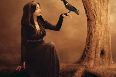 Full HD Wallpapers Gypsy Fortune Teller Raven Tree, Desktop ...