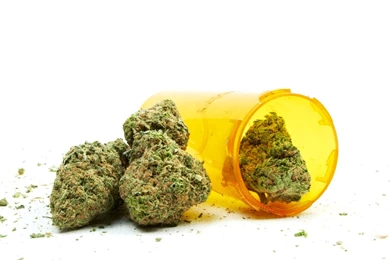 Don't Judge Your Strain By Its Name