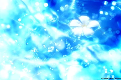 Pictures Of Pretty Backgrounds