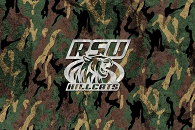 16974) Camo Computer Wallpapers   WalOps.com