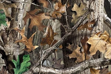 Realtree Camo