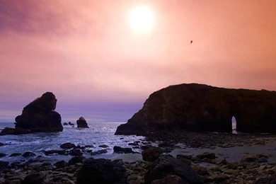 Pretty Background Pics   Wallpapers Zone