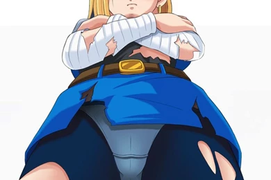 Android 18   Dragon Ball Z Others