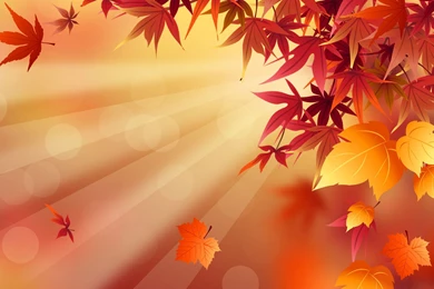 Fall Wallpapers 204