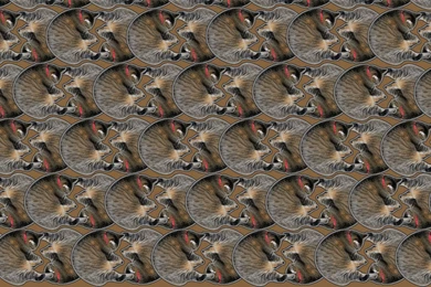 Stereogram Wallpapers   Wallpapers Cave