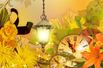 Fall Flowers Time >> HD Wallpaper, Get It Now!