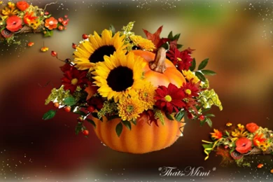 Fall Flowers Wallpapers Celebrate Autumn Fall Pumpkin Flowers Hd ...