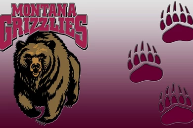 Montana Griz Desktop Wallpapers   Montana Grizzlies