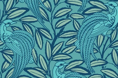 Peacock2 8a29ba000a3cc8abf0a668903ab9dfd9.jpg