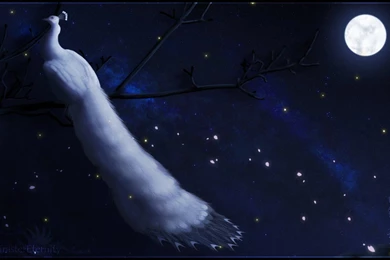 Java Green Peacock By Mudstar Sibera On DeviantArt