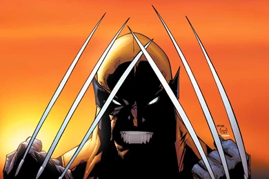Download X Men Wolverine Wallpapers 1680x1050