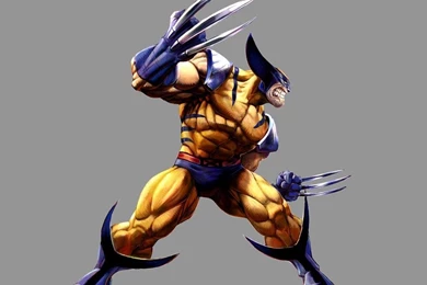 Marvel Wolverine Wallpapers Photo Galleries And Wallpapers
