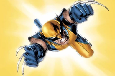 Download Wolverine Marvel Wallpapers