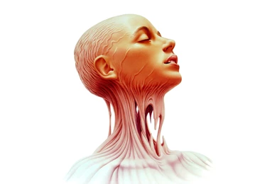 Anatomy Computer Wallpapers, Desktop Backgrounds