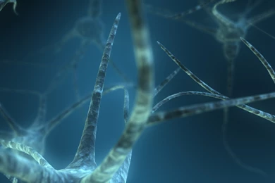 Abstract Anatomy Neurons