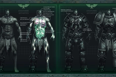 Space Marine Anatomy Wallpapers