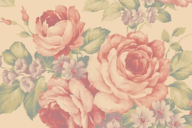 Pink Large Cabbage Rose Wallpapers By Norwall