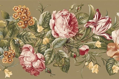 Coral And Cream Cabbage Rose Wallpapers Border By Chesapeake