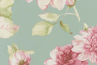 Light Pink And Green Rose Trail Wallpapers By Three Pillars Design