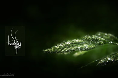 Download Free HD Wallpapers : Wallpapers Asma Allah   Download Free ...