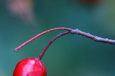 1080x1920 Circle Light Wallpapers HD