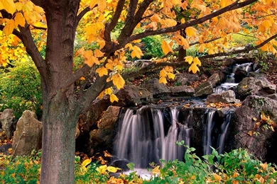 Wallpapers Natural Sceneries Beautiful Exclusive Scenery Free ...