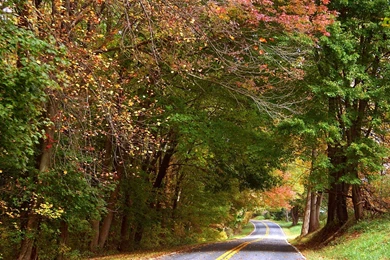 HD Wallpapers: Beautiful Natural Scenery