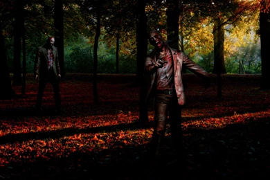 18 Scary HD Zombie Wallpapers   HDWallSource.com