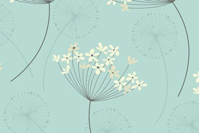 Teal Green Wallpapers   Wallpapers High Definition