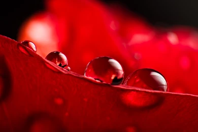 Wallpapers Waterdrops Extraordinary 1920x1200