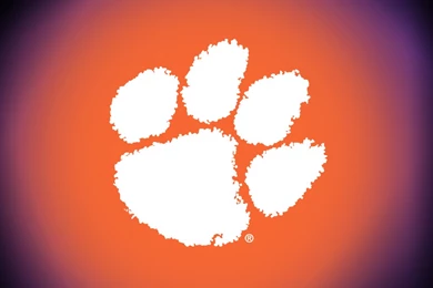 Clemson University