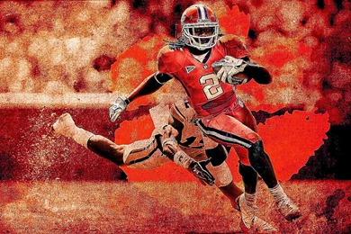 Clemson Tiger Wallpapers