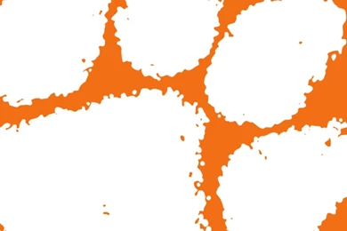 Clemson Tigers Wallpapers For iPhone 6 Plus