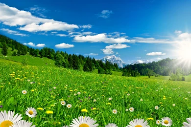 Beautiful HD Wallpapers