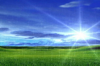 Rainy Shiny Bliss Blue Sky And Awesome Grass HD Wallpapers ...