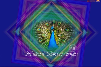 Patriotic Wallpapers, Different Patriotic Wallpaper, Patriotic ...