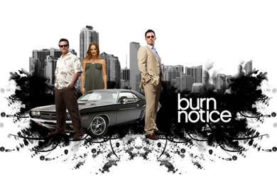 Burn Notice Wallpapers   Burn Notice Wallpapers (5410456)   Fanpop