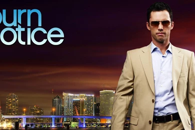 Burn Notice   Burn Notice Wallpapers