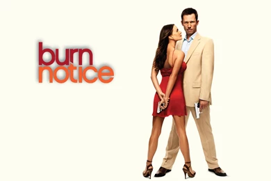 Burn Notice Wallpapers » WallDevil   Best Free HD Desktop And ...