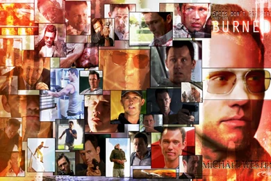 DeviantArt: More Like Burn Notice By HeroforPain