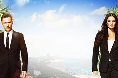 1280x1024px Burn Notice