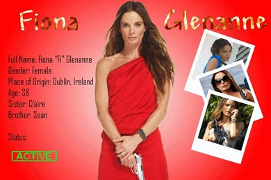 Fiona "Fi" Glenanne Wallpapers   Burn Notice Photo (31458658)   Fanpop