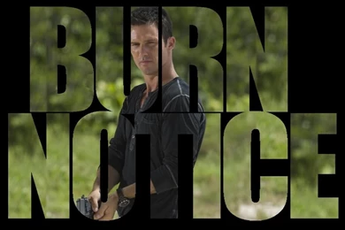 Burn Notice Michael Westen Quotes. QuotesGram