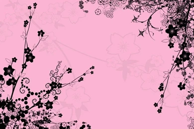 Black And Pink Myspace Layouts