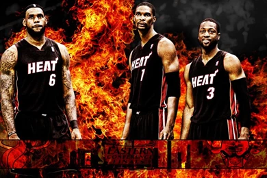 Niebacliti: Miami Heat Wallpapers